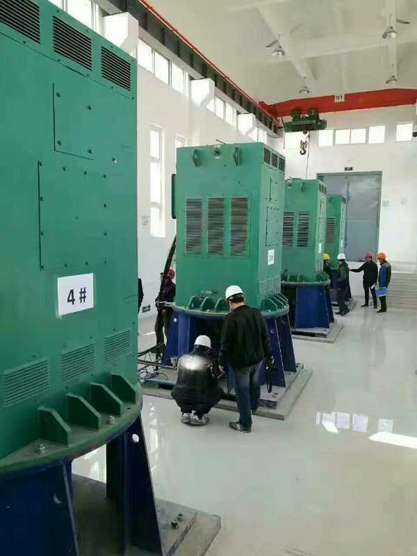 Y710-6某污水处理厂使用我厂的立式高压电机安装现场