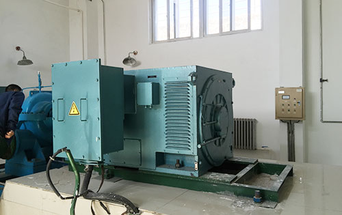 Y710-6某水电站工程主水泵使用我公司高压电机一年质保