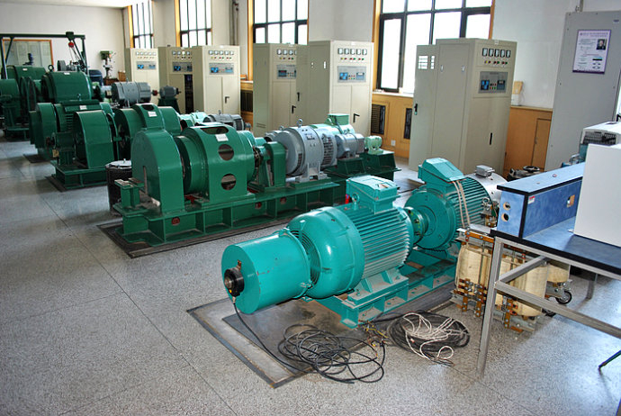 Y710-6某热电厂使用我厂的YKK高压电机提供动力