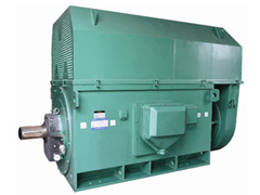 Y710-6Y系列6KV高压电机